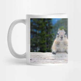 Chipmunk in Banff Alberta in Canada Mug